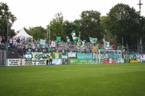 43-von-112 IMG 0223
